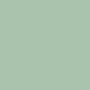 aloe-mint