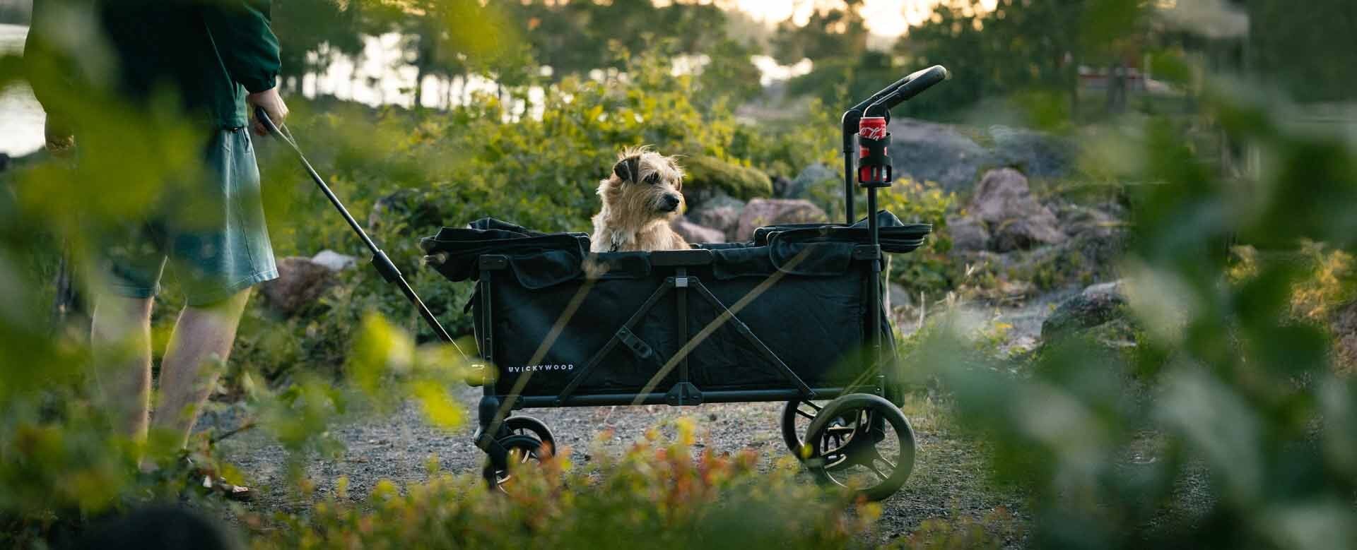 Neuer Offroad Kinderbuggy bei VICKYWOOD