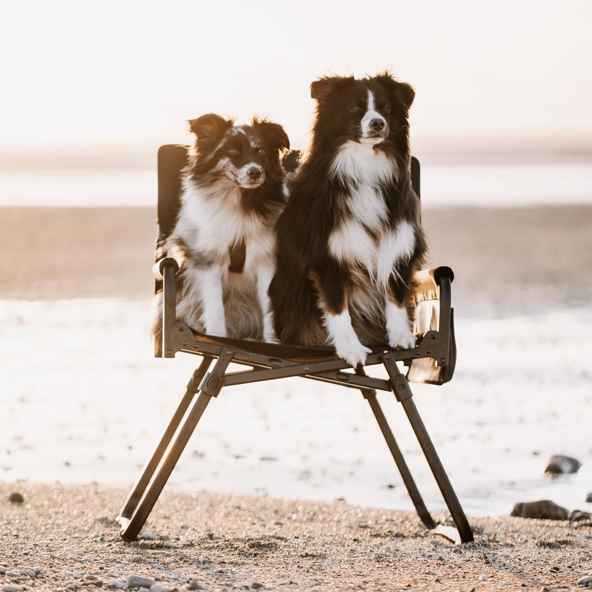 VICKYWOOD Direktor Campingstuhl