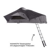 Dachzelt WILLOW PRO 1 ECO 160 grau m. Mesh m. MAMMOTH Leiter m. Komfort-Hybridmatratze