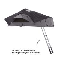 Roof Top Tent WILLOW PRO 1 ECO 160 grey w. MAMMOTH Ladder w. Memory Foam Mattress