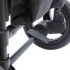 Outdoor Buggy Wagon SPROUT Deluxe black