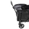 Outdoor Buggy Wagon SPROUT Evolve black