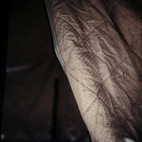 Bundle: BIG WILLOW 4.0 160 goldbraun Dachzelt-Set