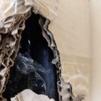 Seitenmarkise VICKYWOOD 200 cm grau