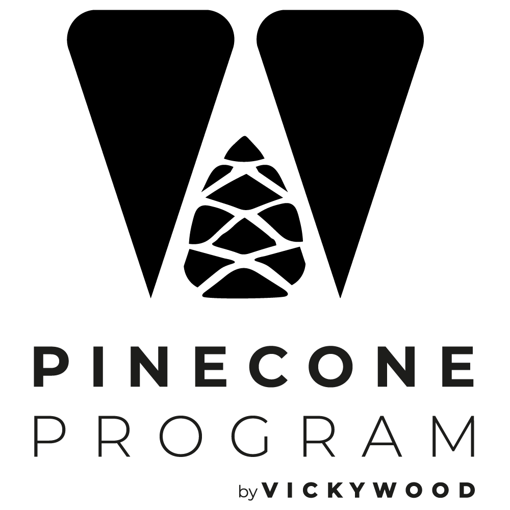 VW PINECONE Original Zentriert Schwarz